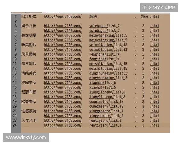 云开正规网址全面解析，帮助玩家轻松找到官方授权的优质游戏平台
