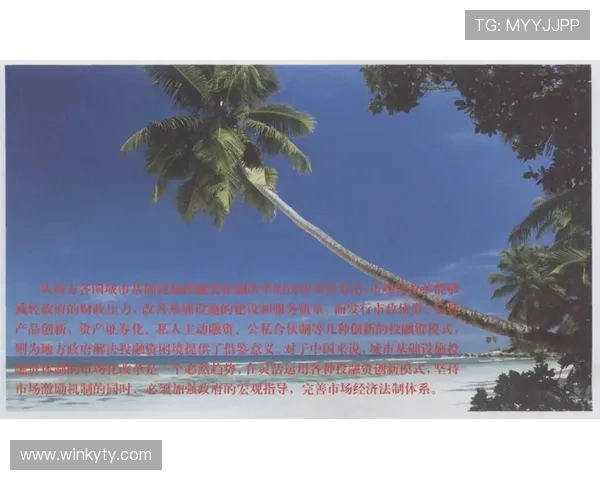 星空电竞：从业余到职业的转变之路与成功经验分享