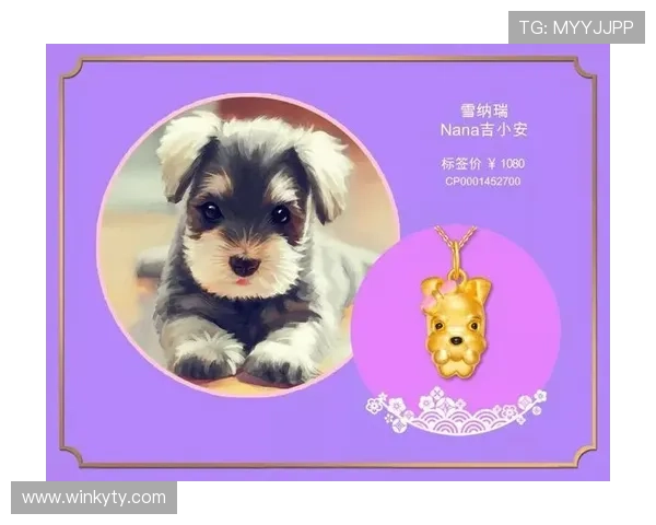 开运网助你开启好运气的秘密指南，提升生活幸福感的实用技巧